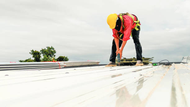 Asphalt Shingles Roofing in South Zanesville, OH