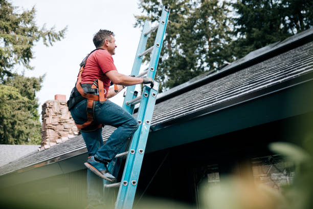 Best Asphalt Shingles Roofing  in South Zanesville, OH